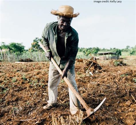 Four Key Findings Smallholder Farmer Use Of Mobile Phones For