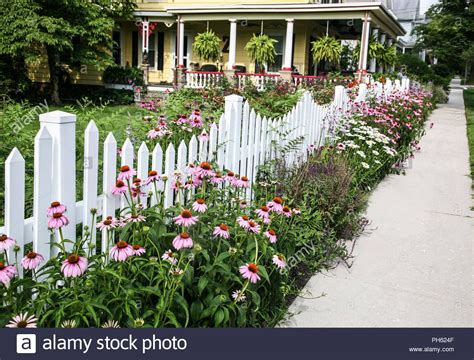Garden Picket Fence Border Antonietta Mccrary