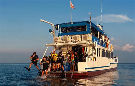 Liveaboard Scuba Dive Sleep Eat Aboard A Dive Boat Eco Travel