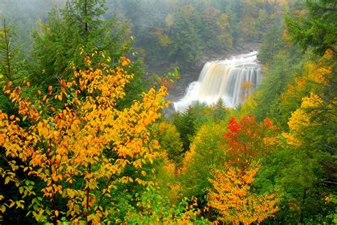 Facts About Blackwater Falls State Park