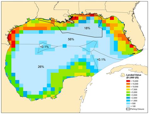Understanding impacts of the Gulf of Mexico oil spill: How will