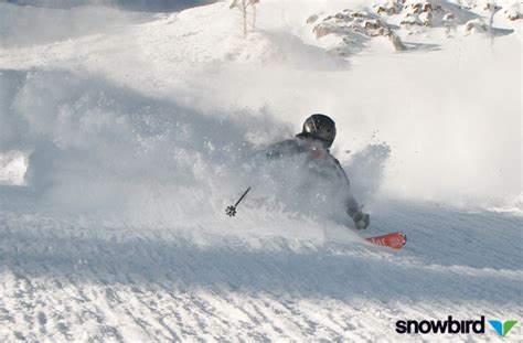 Snowbird Sets All Time Single Season Snowfall Record Powder