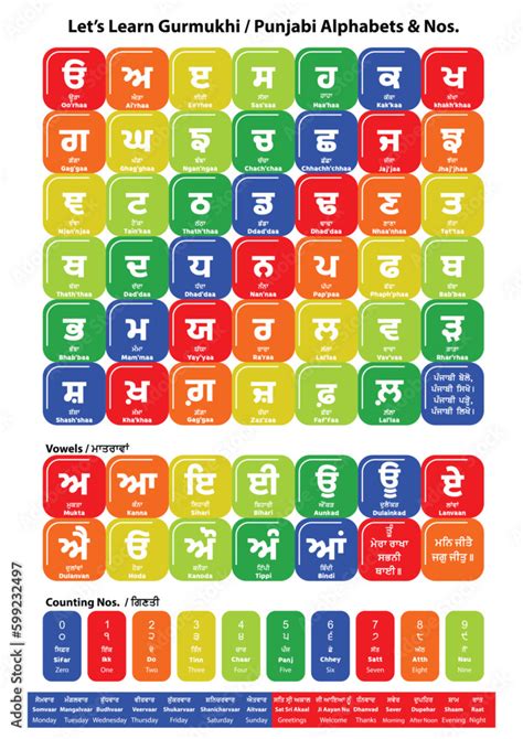 Punjabi Alphabet And Numbers Set Colorful Vector Flash Card Design
