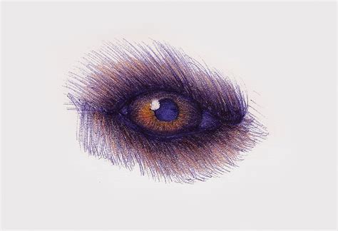 Wolf Eye Sketch By Whitekidz On Deviantart