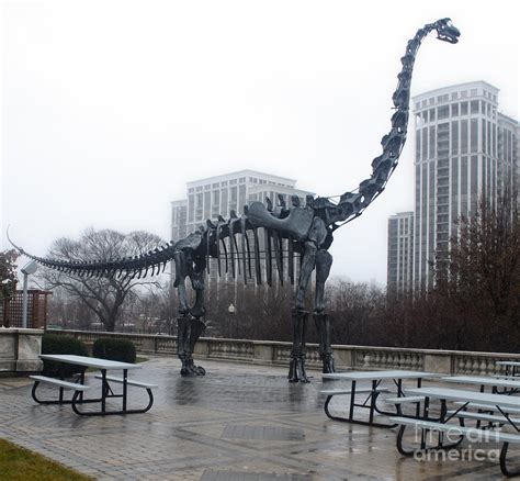 Chicago Field Museum Dinosaur Photograph By Gregory Dyer Pixels