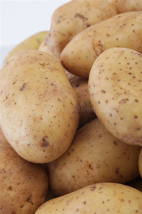 Farm Fresh Potatoes Stock Image Image Of Nutrition Staple 29889515