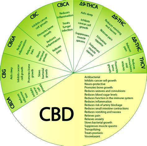 What Are Cannabinoids Thc Cbd And Cbn Explained Weedmaps Toronto