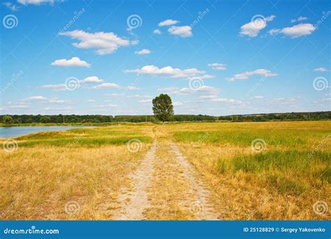 Beautiful Landscape Road To A Lonely Tree Stock Image Image Of