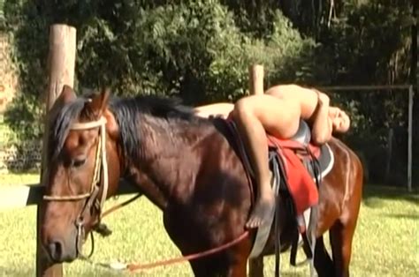 Slender Jockey Fucks With A Brown Stallion At The Farm