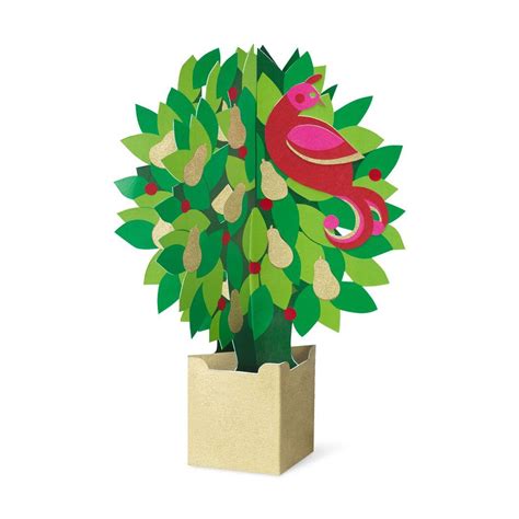 Maybe you would like to learn more about one of these? Partridge in a Pear Tree 3D Holiday Cards by MoMA | Holiday cards, Greeting card box, Modern ...
