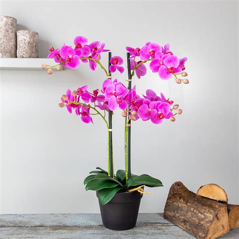 Kunstplant Orchidee Phalaenopsis Tak Roze Voor Binnen