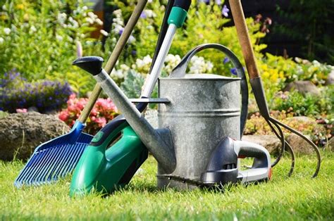 If you want to produce. 8 Must Have Garden Tools for This Spring - Everything Backyard