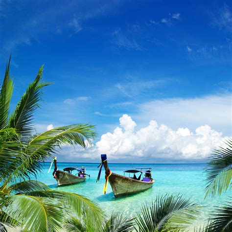 Find the perfect thailand strand stock illustrations from getty images. Tuin Tuinscherm Strand Thailand | De Fabriek Muurstickers