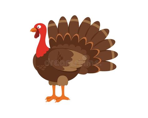 Turkey Animal Icon Image Thanksgiving Cartoon Turkey Bird
