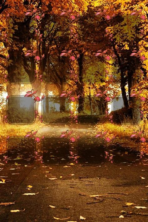 Free Download Autumn Leaves 640x960 For Your Desktop Mobile And Tablet