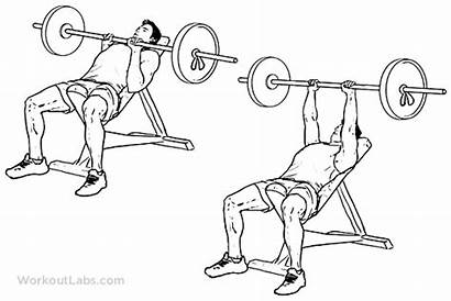 Bench Grip Incline Close Press Drawing Presses