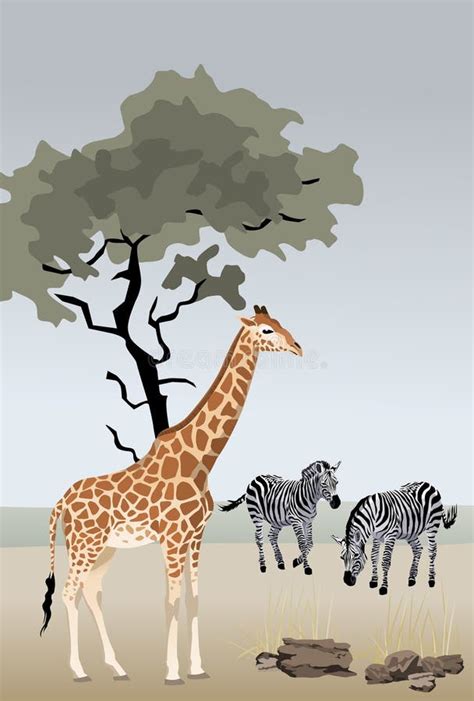 Jirafa y cebras ilustración del vector Ilustración de jirafa 13163880