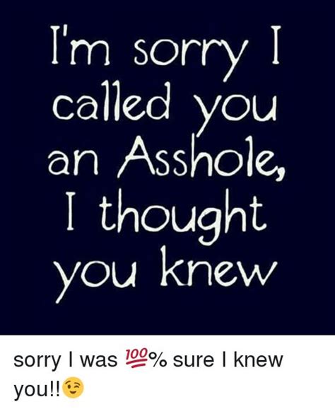 Im Sorry I Called You An Asshole I Thought You Knew Sorry I Was 💯 Sure I Knew You😉 Meme On