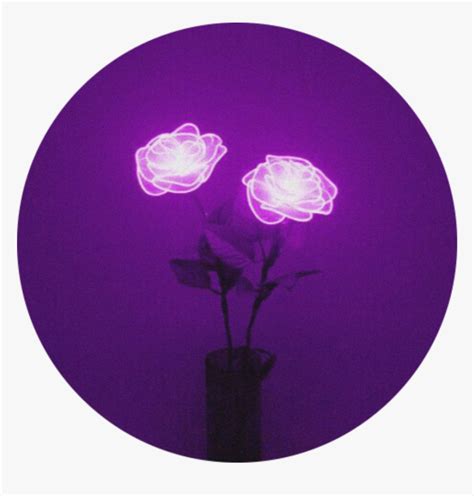 Purple Aesthetic Pfp Simple Purple Aesthetic Wallpapers Top Free