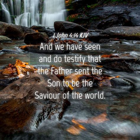 1 John 414 Kjv And We Have Seen And Do Testify That The Father