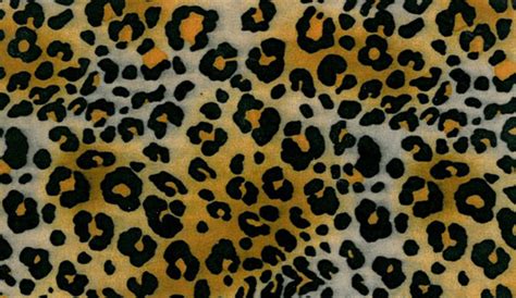 Ocean Tents Cheetah Print