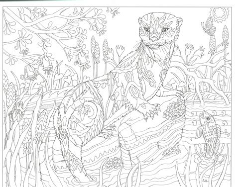 44 Clever Images Adult Otter Coloring Pages Otter Coloring Pages
