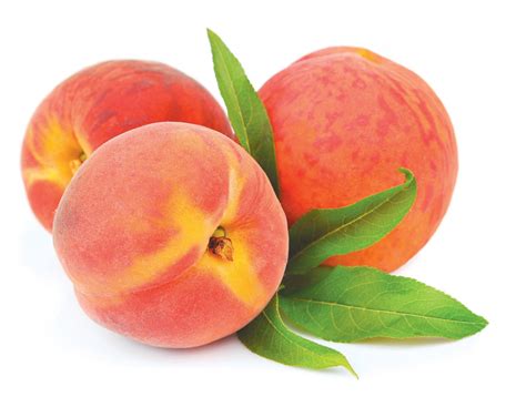 What S In Season Peach Edible Jersey