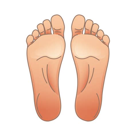 110 Left Foot Right Foot Illustrations Royalty Free Vector Graphics