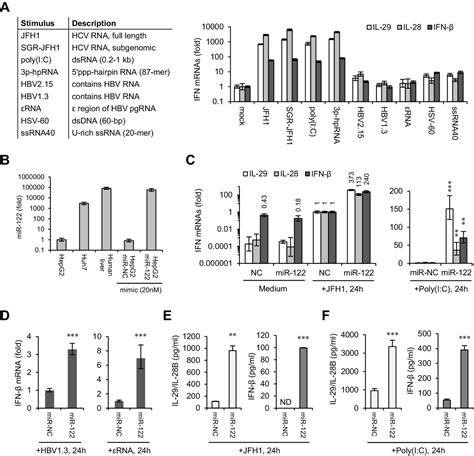 Figures And Data In Microrna Supports Robust Innate Immunity In