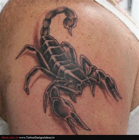 Tattoo: New Tattoo, Animal Tattoo, Flower Tattoo, Snack Tattoo