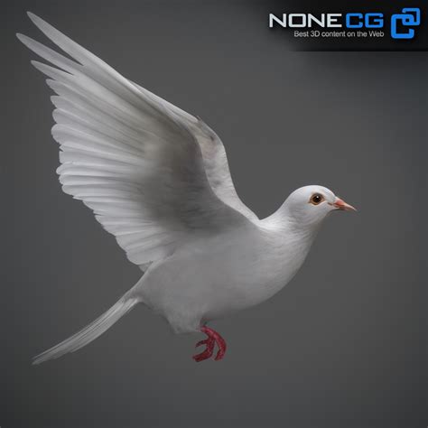 Artstation Animated White Dove Resources