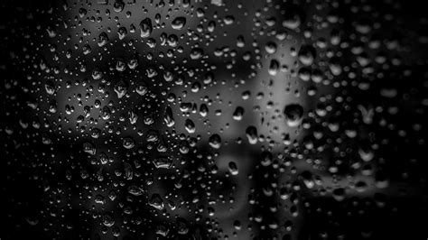 Black And White Rain Drops Wallpaper Wallpaper Stream