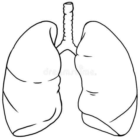Lung Coloring Pages For Kids