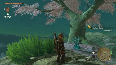 All Cherry Blossom Tree Locations And Directions Tears Of The Kingdom Totk