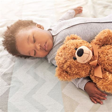 Sleeping Teddy Bear Stock Image Image Of Sleep Dark 29824095