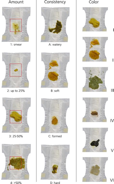 Baby Poop Colors Chart And Pictures Whats Normal Love Our Littles Are