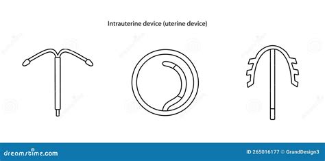 Method Of Contraception Intrauterine Device Uterine Spiral Line Icon In Vector Stock Vector