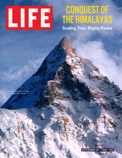 Check Out 13 Iconic And Fake Life Magazine Covers From ‘the Secret Life