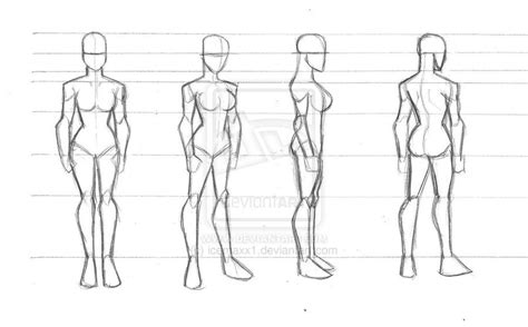Character Turn Prelim 2 By Icemaxx1 Character Reference Sheet Body