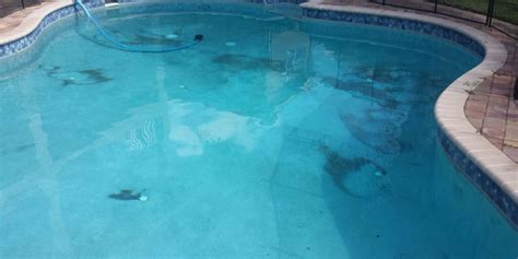 How To Identify And Remove Pool Stains By Swim University South Shore