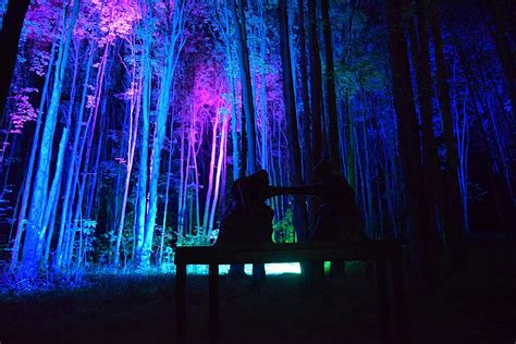 Wonderful 5th Season Of Night Lights At Griffis Sculpture Park Just