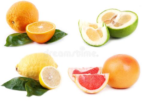 Citrus Fruits Stock Photo Image Of Fresh Sweetie Healthy 10191240