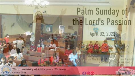 Palm Sunday Of The Lords Passion April 02 2023 Palm Sunday Of The