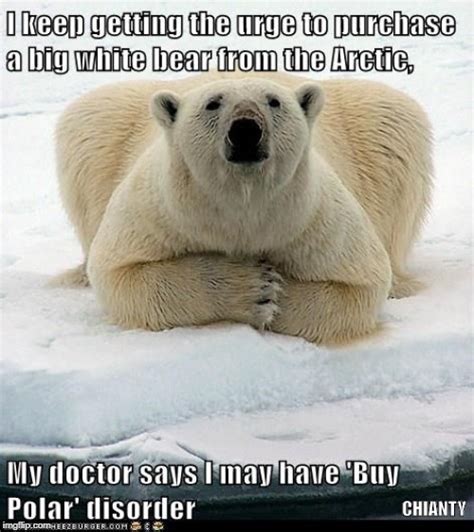 Polar Bear Memes And S Imgflip
