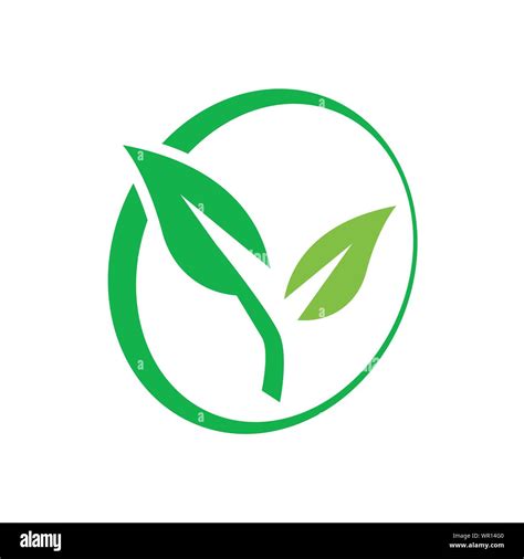 Eco Green Vector Eco Friendly Icon Recycle Logo Vector Packaging Renewable Symbol Green