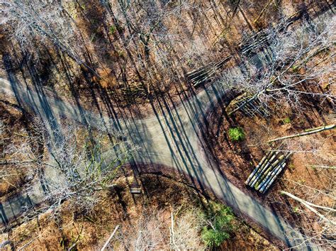 Forest Path Crossroad From Above Drone Photography Photograph By