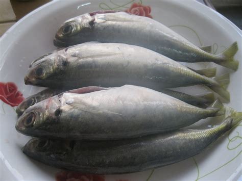 Tips mudah untuk tidur awal and nyenyak. Dari Dapur Maklong: Ikan Selayang Masak Singgang