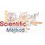Scientific Method Steps And It’s Basic Principles You Must Know