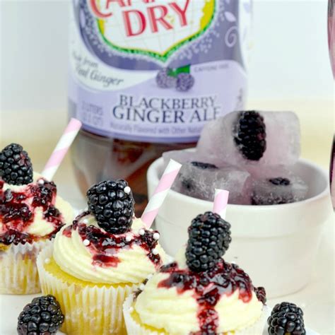 Blackberry Ginger Ale Cupcakes And Ice Cubes Jays Sweet N Sour Life