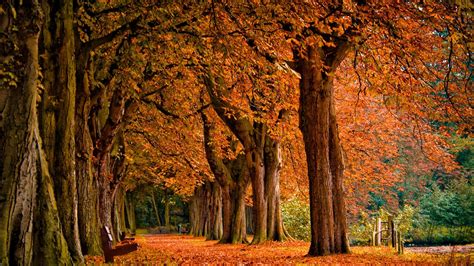 Autumn | Autumn landscape, Autumn scenery, Autumn wallpaper
